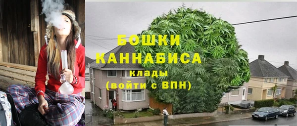 мяу мяу мука Бородино