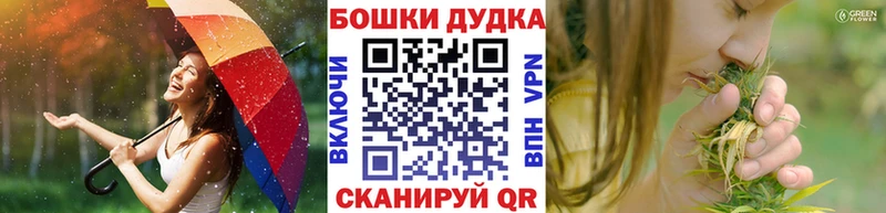 Купить  Суджа  Каннабис AK-47 